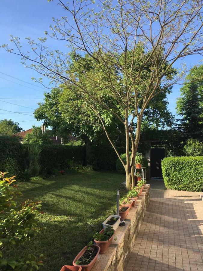 Byala Residence Apartments Zewnętrze zdjęcie